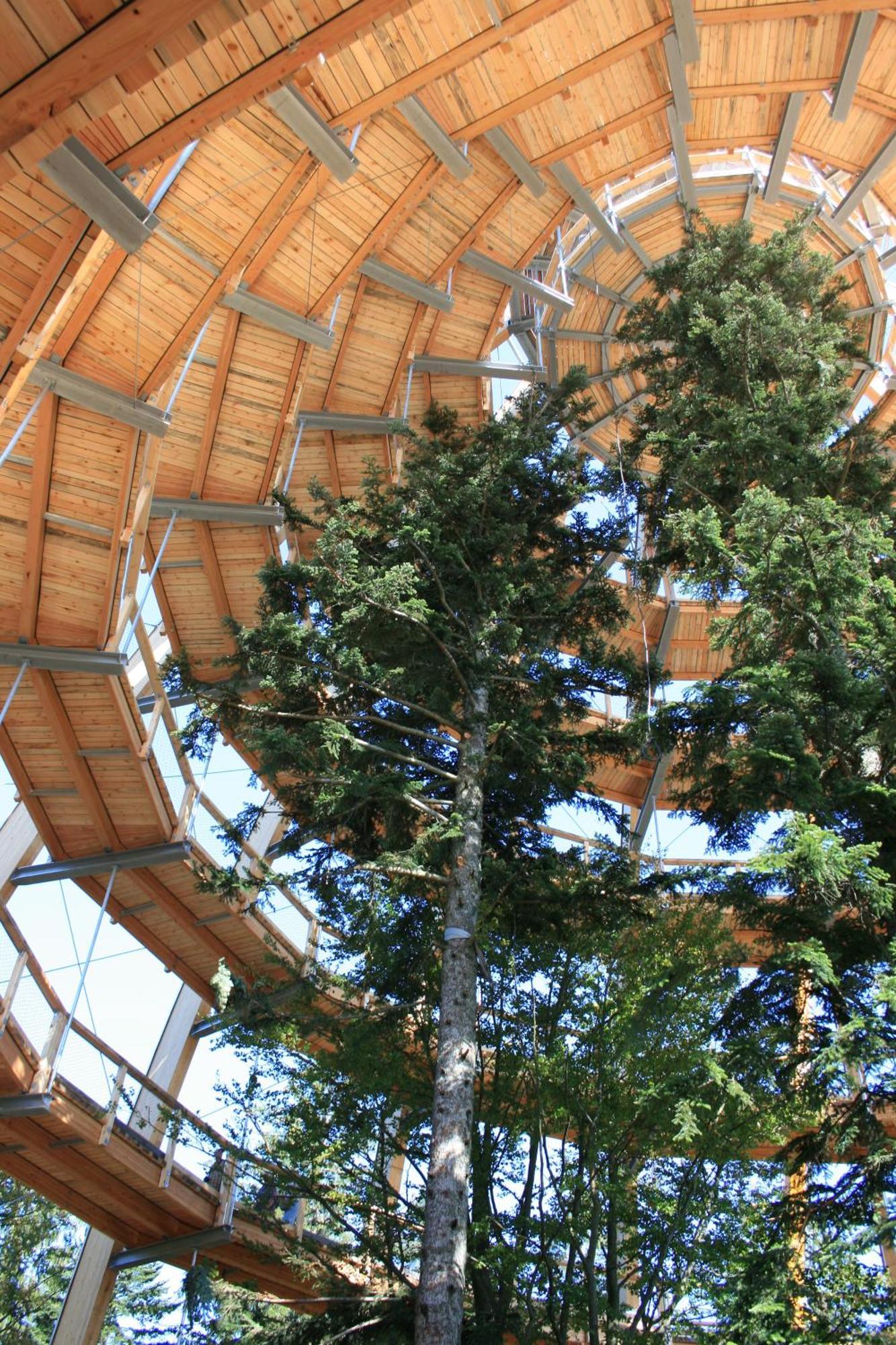 Hotel Landgasthof Hohenauer Hof المظهر الخارجي الصورة